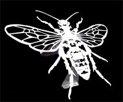 abeille d&eacute;coup&eacute;e - inox &eacute;p 5 mm